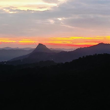 Apartmán Nandana'S Residency Munnar Exteriér fotografie