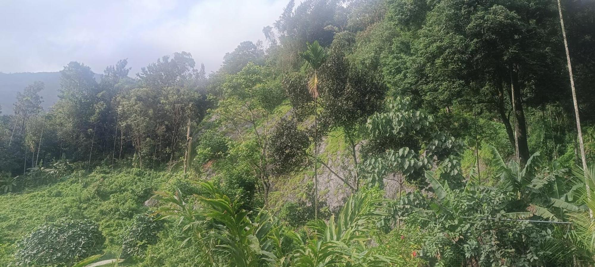 Apartmán Nandana'S Residency Munnar Exteriér fotografie